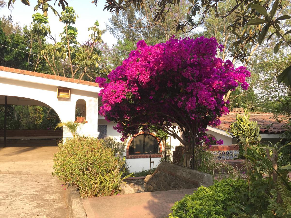 Villas Bellavista Cuernavaca Exterior foto